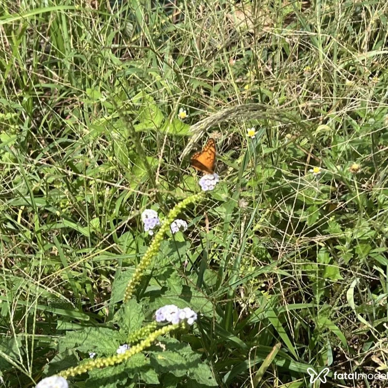 Acompanhante branca magra em São Paulo