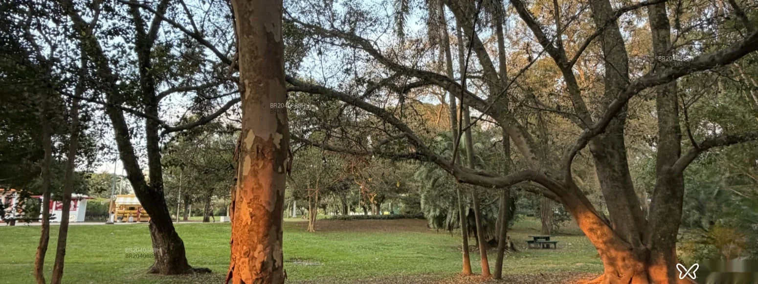 Acompanhante morena cavalona em São Paulo