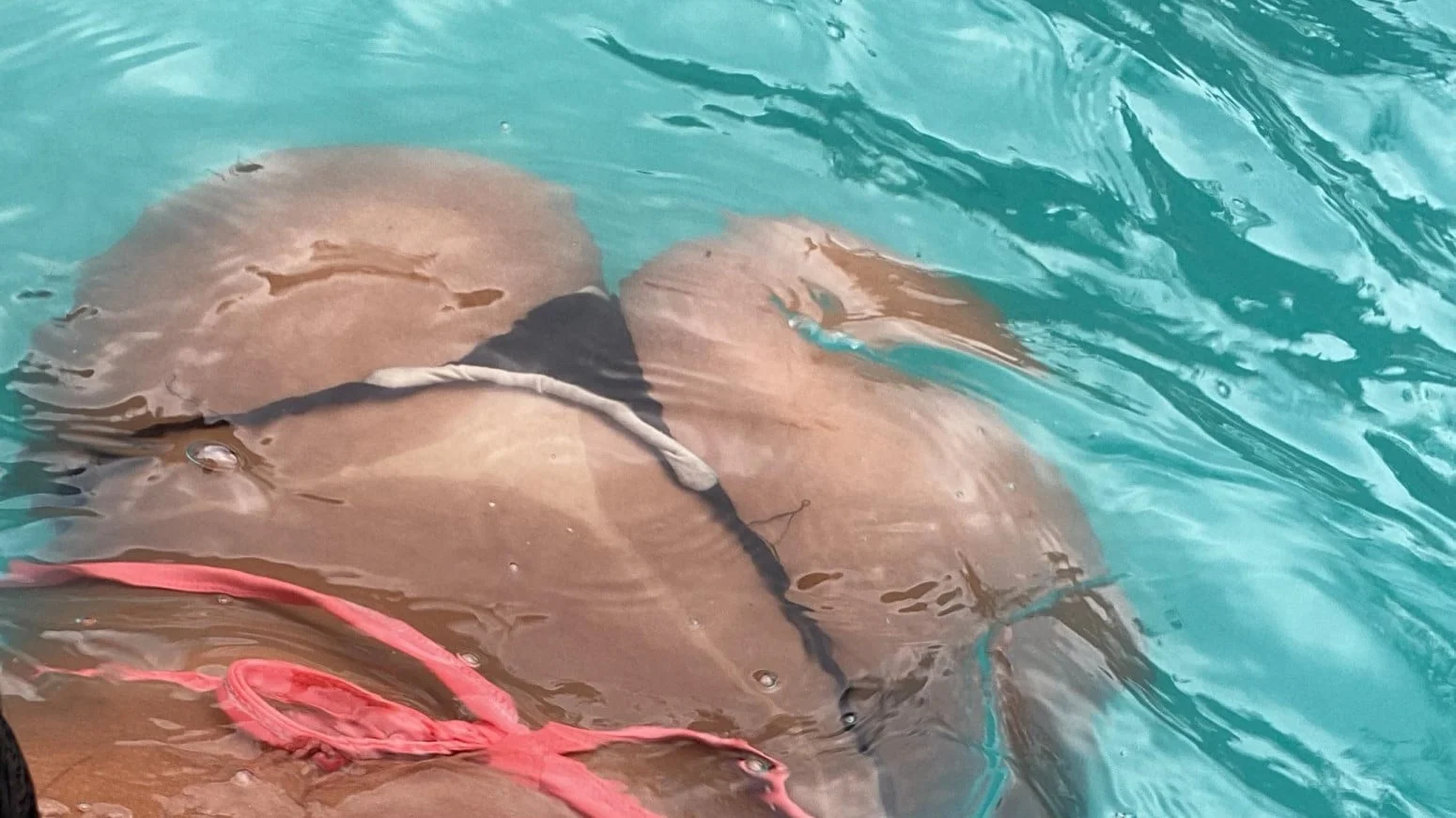Acompanhante morena cavalona em São Paulo
